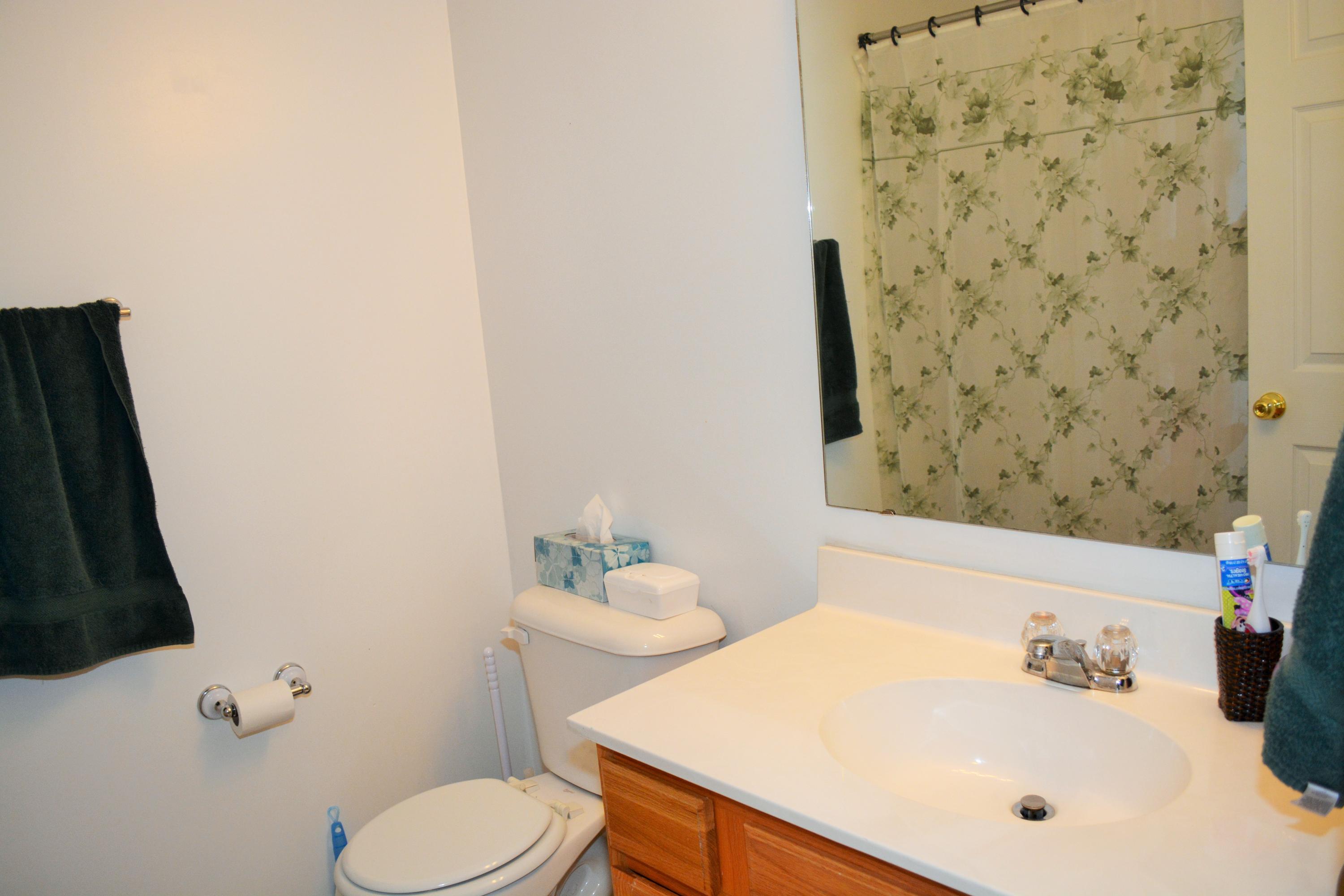 145 Old Tree Road Goose Creek, SC 29445 - Photo 23 of 32 nd full bathroom