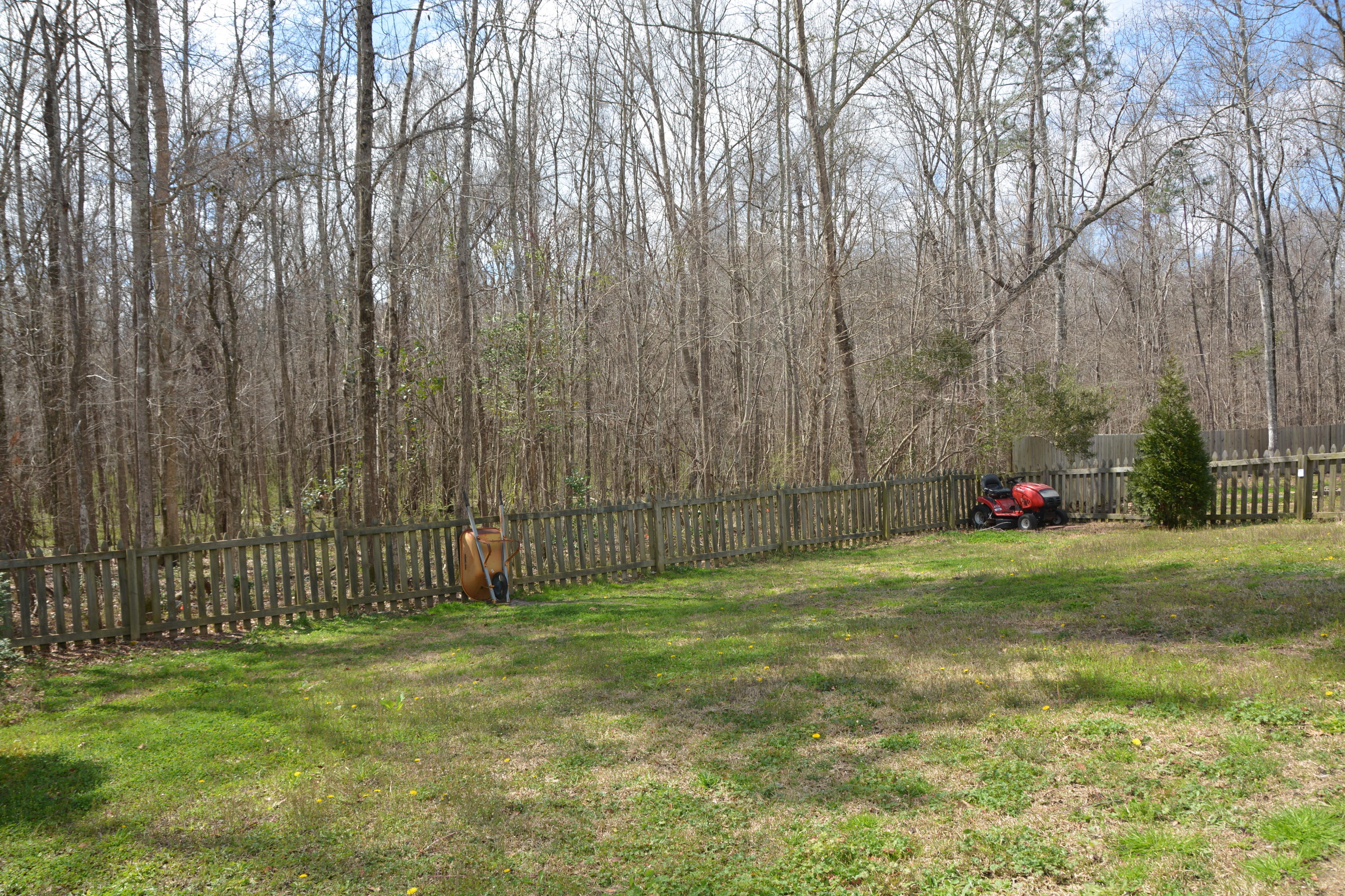 145 Old Tree Road Goose Creek, SC 29445 - Photo 26 of 32 fenced backyard backs up to woodlands