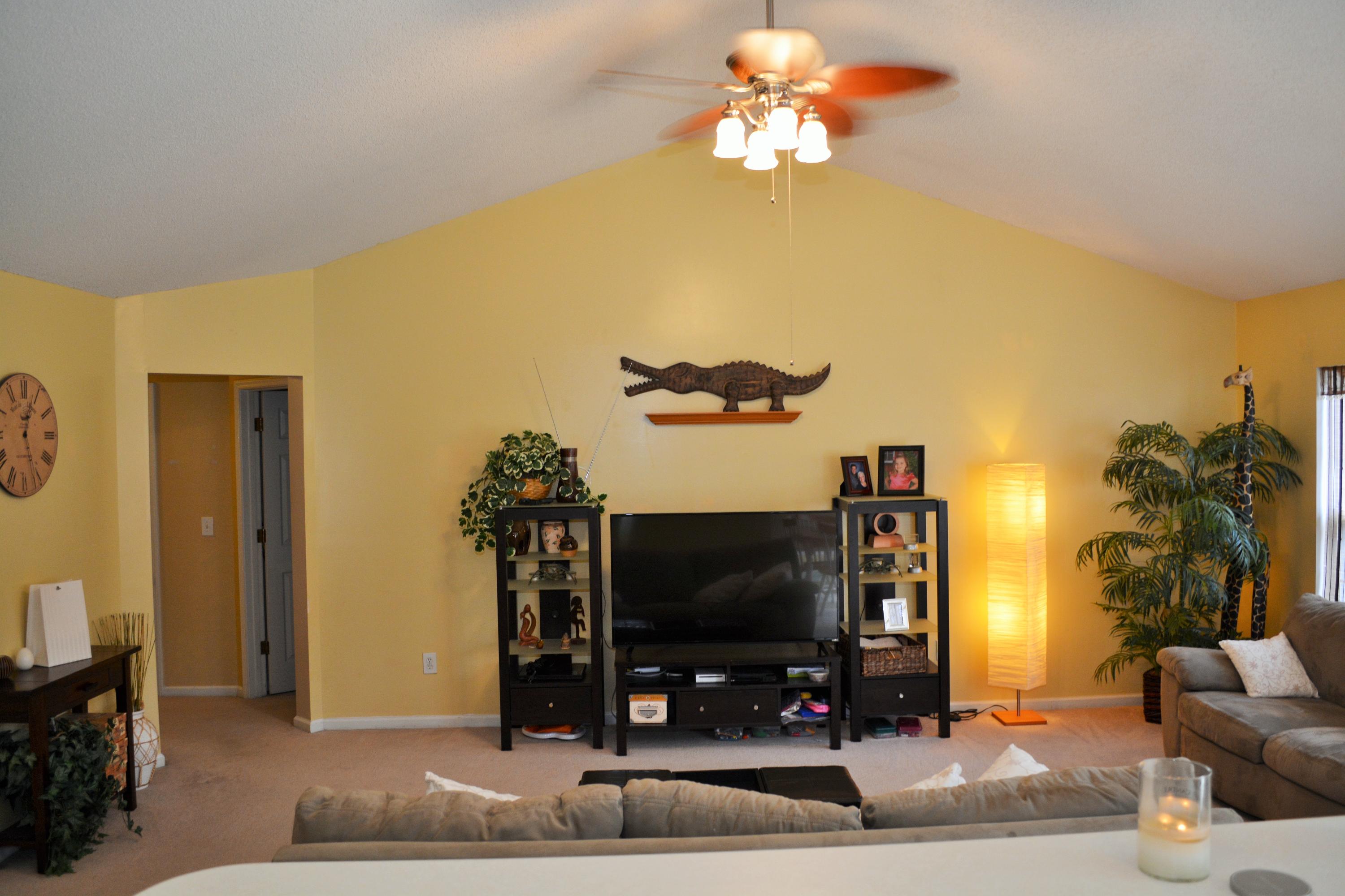 145 Old Tree Road Goose Creek, SC 29445 - Photo 9 of 32 family room