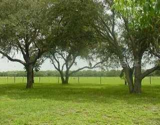 2412 Reynolds Road Lakeland, FL 33801 - Photo 1 of 1 a view of park with trees