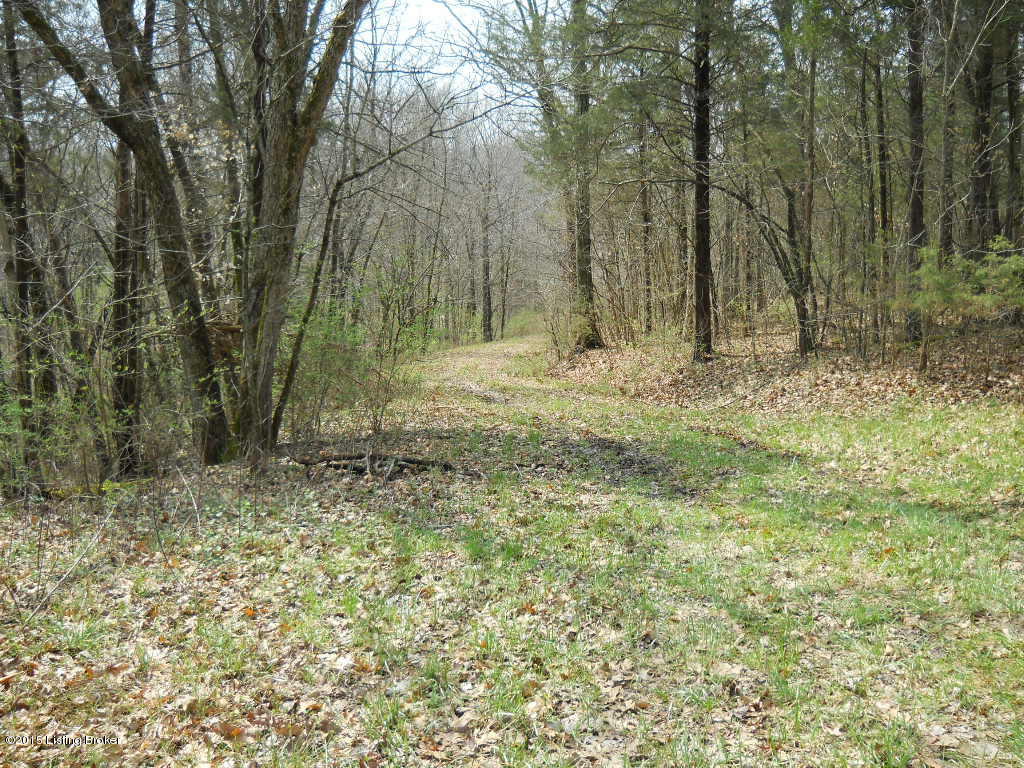 10509 Back Run Road Louisville, KY 40299 - Photo 6 of 7 032.JPG