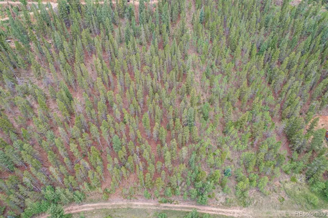 a view of a hardwood floor