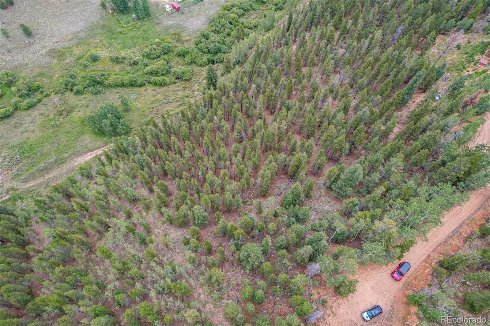 427 Wise Road Bailey, CO 80421 - Photo 15 of 20