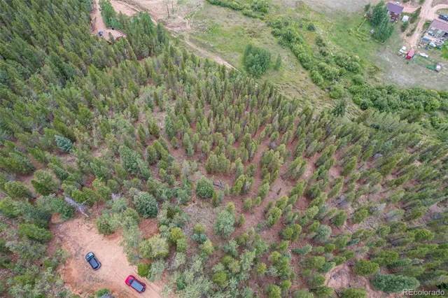 a view of a lake with a forest