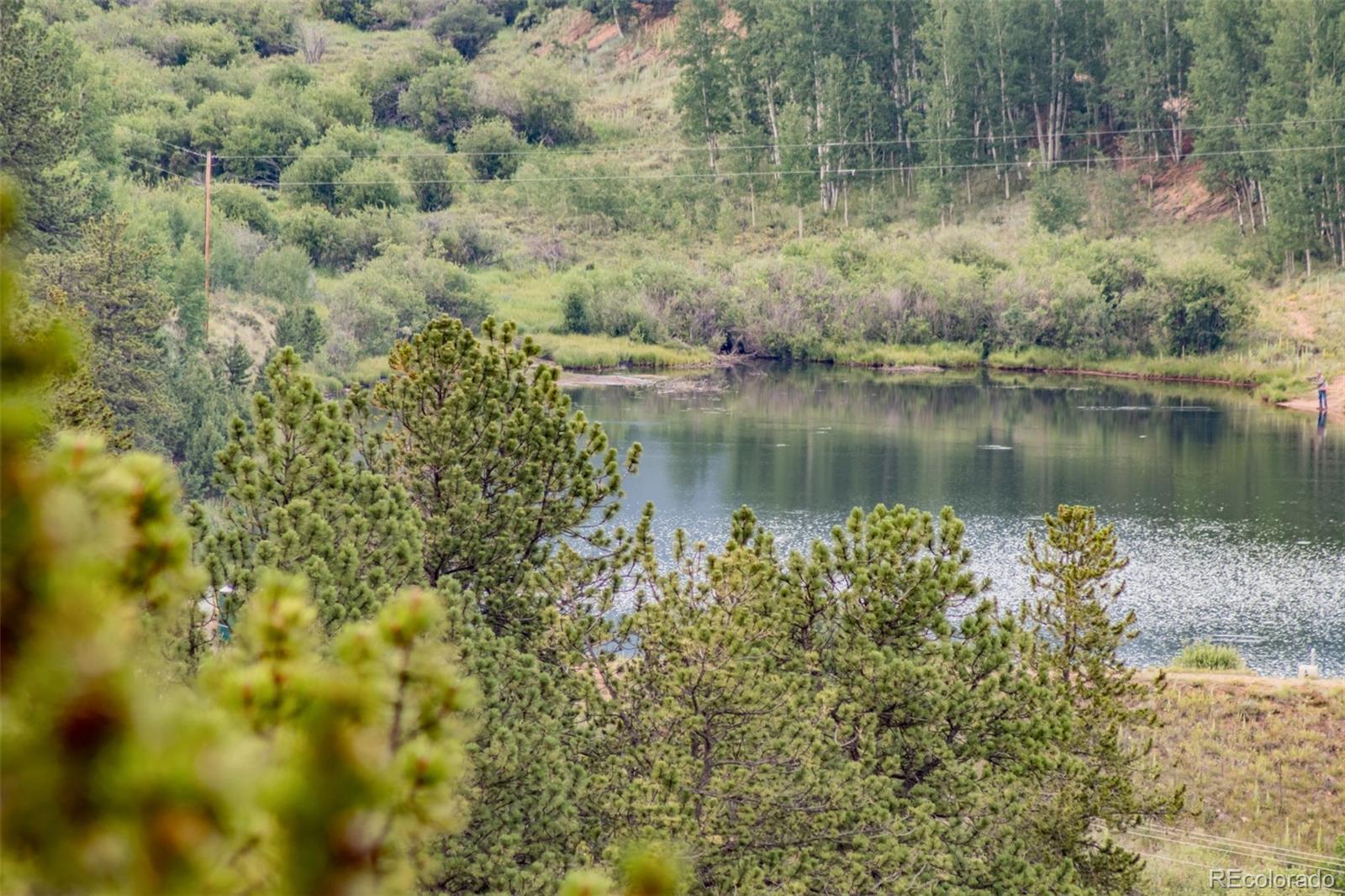 427 Wise Road Bailey, CO 80421 - Photo 18 of 20 a view of a lake with a forest