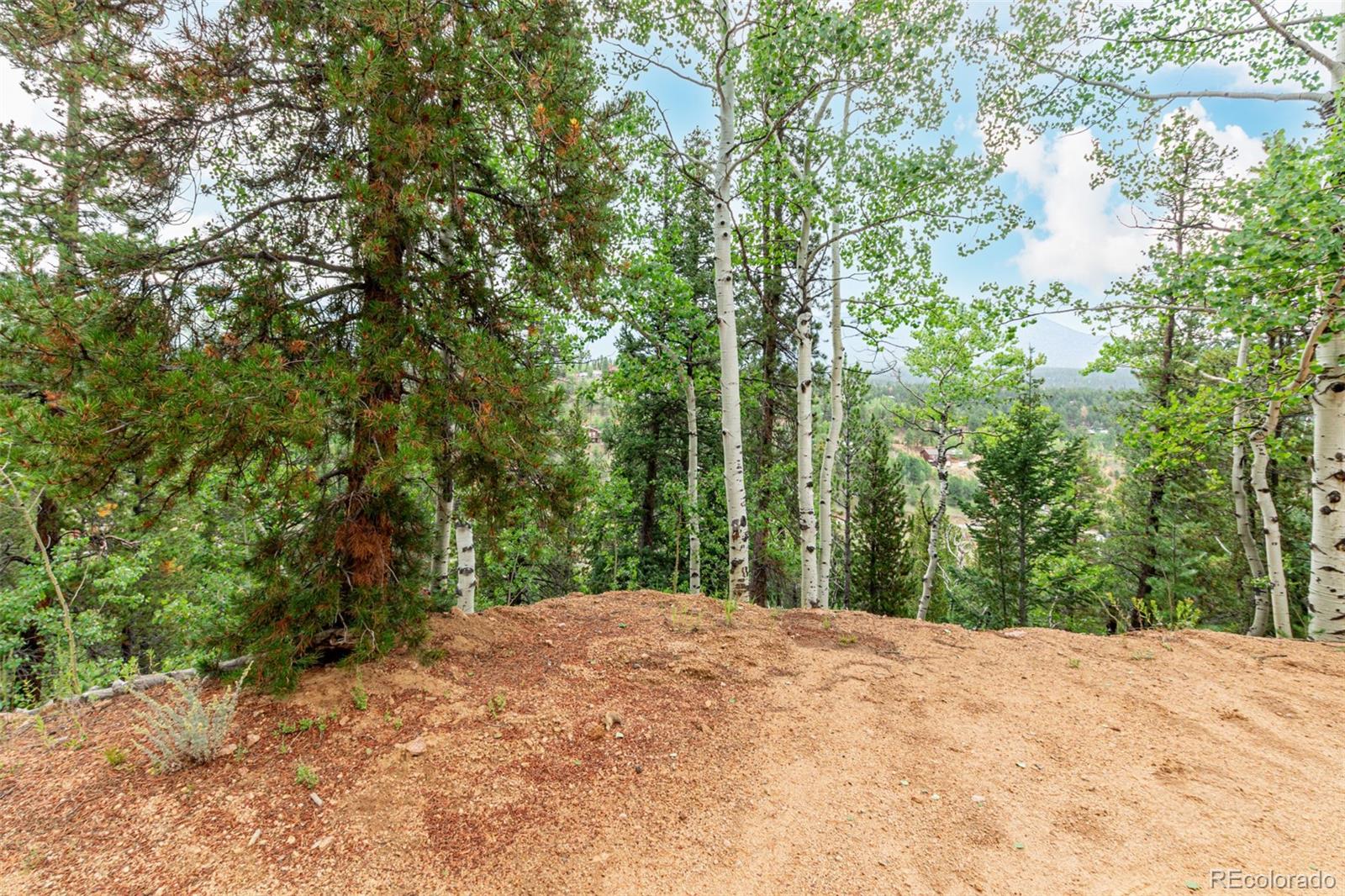 427 Wise Road Bailey, CO 80421 - Photo 2 of 20 a view of a yard with large trees