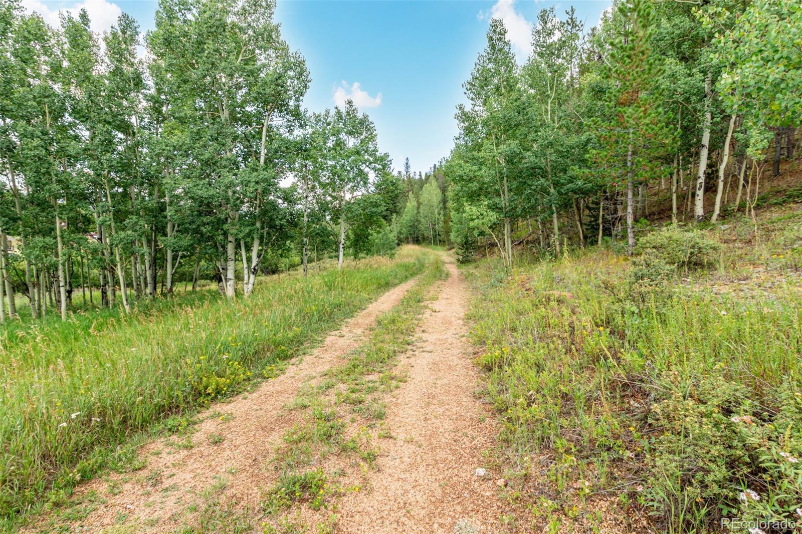 427 Wise Road Bailey, CO 80421 - Photo 4 of 20 a view of a lake with a big yard