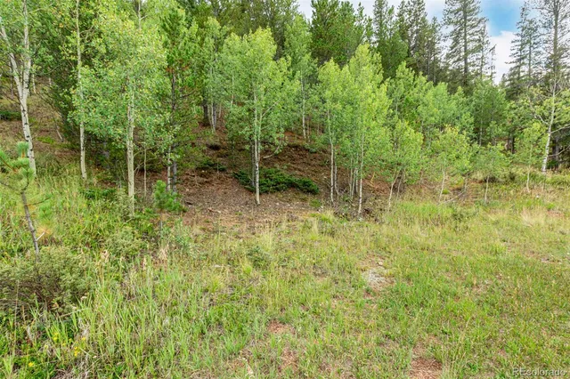 a backyard of a house with lots of green space and trees