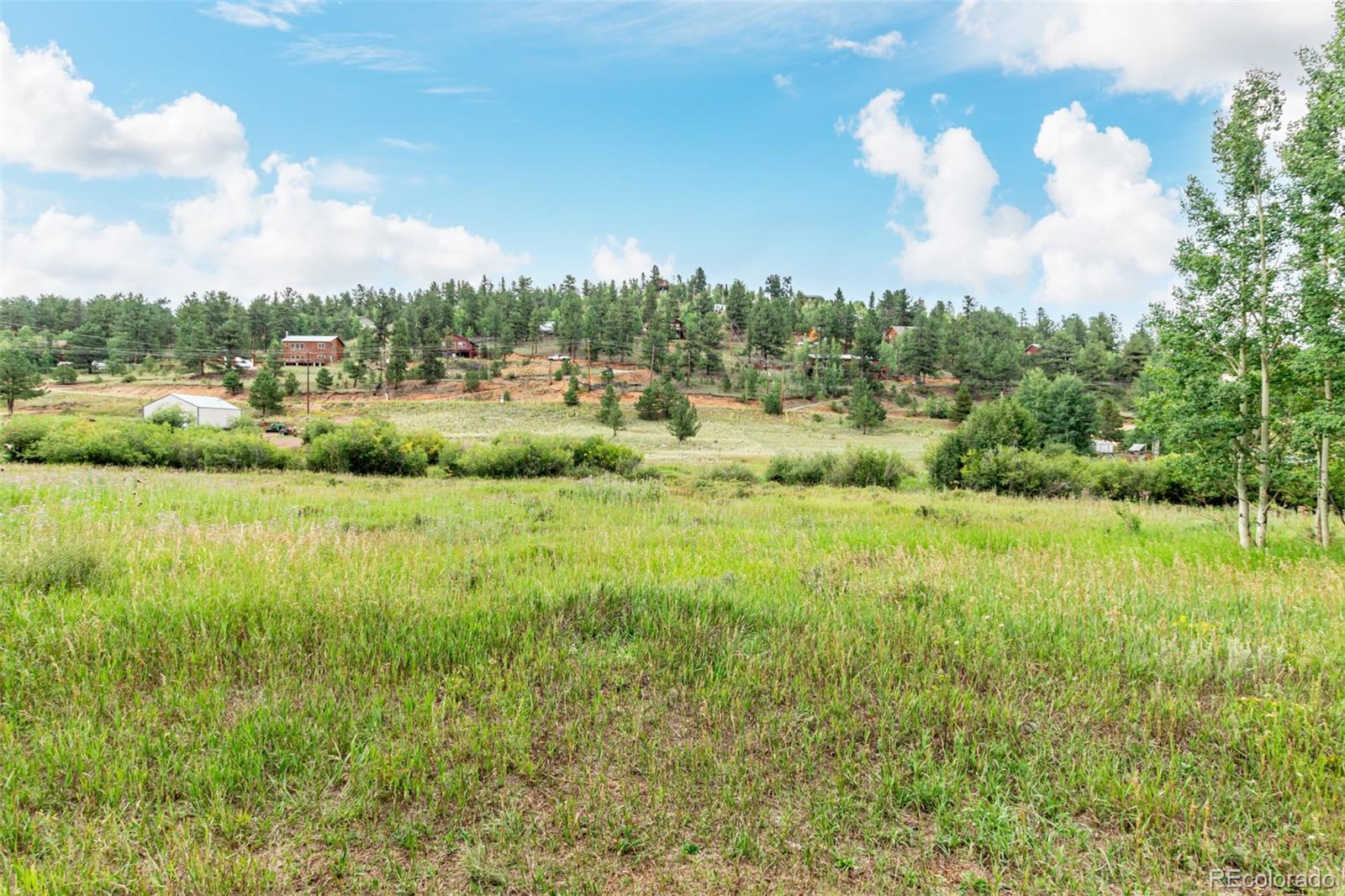 427 Wise Road Bailey, CO 80421 - Photo 6 of 20 a view of a city