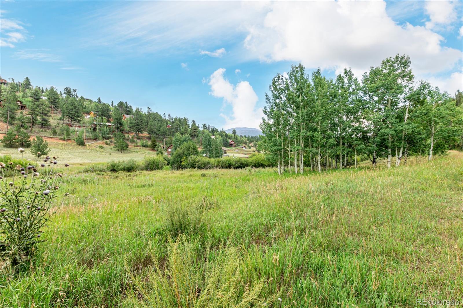 427 Wise Road Bailey, CO 80421 - Photo 8 of 20 a view of a green yard