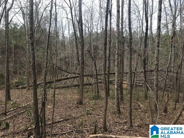 0 Springville Boulevard, Unit 4 / ACRES Oneonta, AL 35121 - Photo 6 of 6
