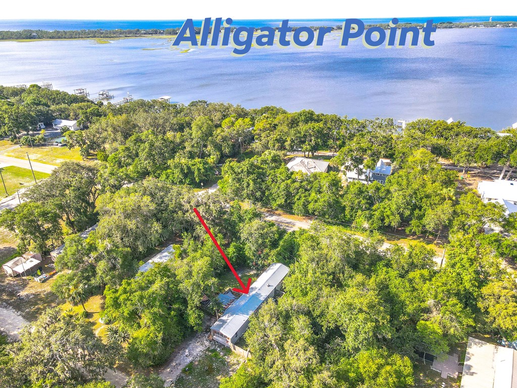 652 Magnolia Street Alligator Point, FL 32346 - Photo 6 of 35