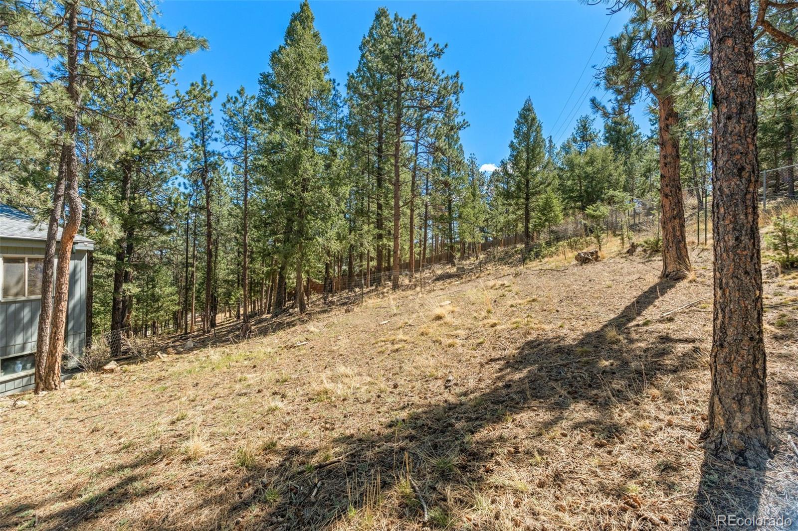 20 Long Ridge Drive Bailey, CO 80421 - Photo 37 of 40 Gallery Image 37