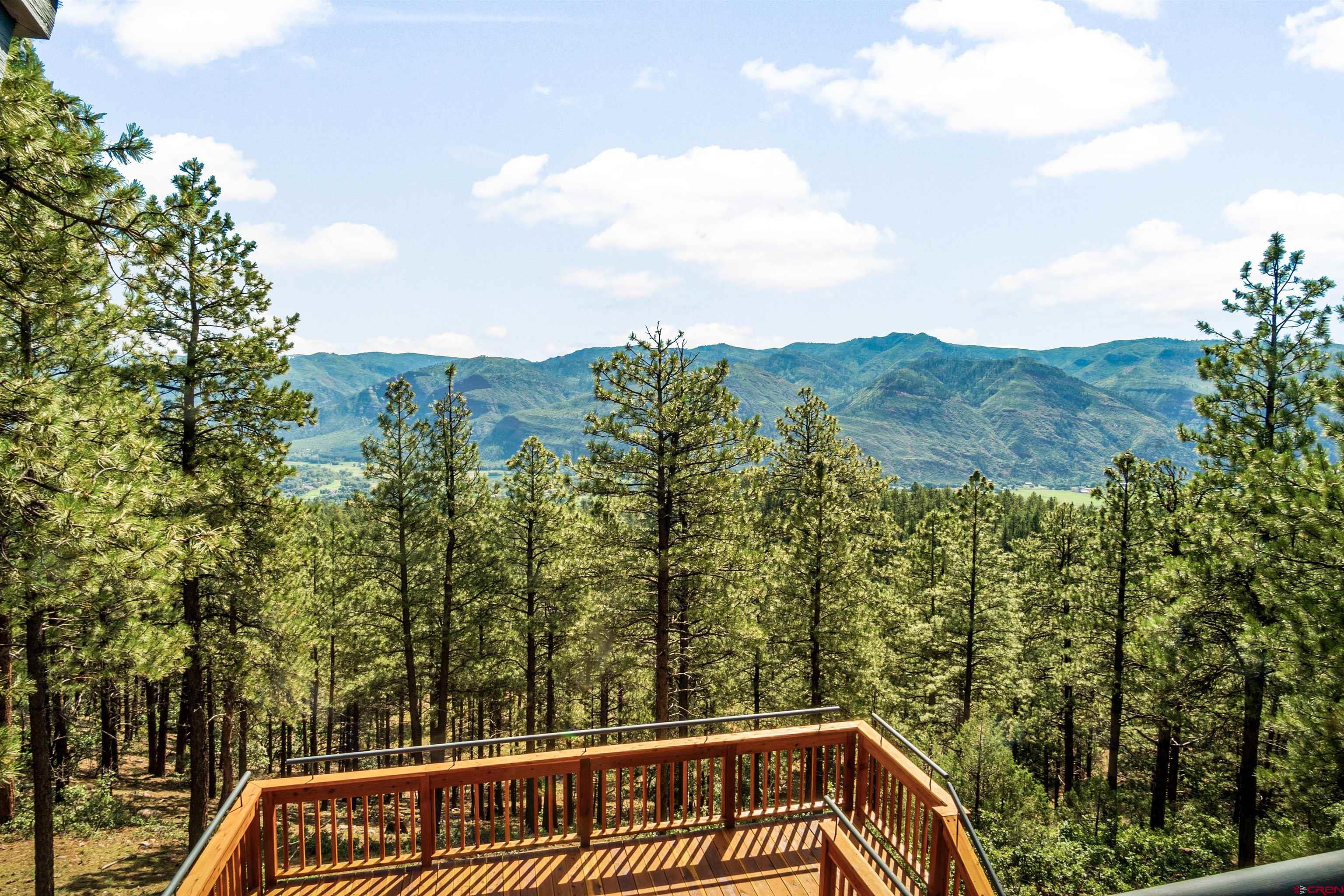 112 Mason Cabin Road Durango, CO 81301 - Photo 4 of 32 Gallery Image 4
