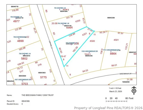 a plant with lots of trees