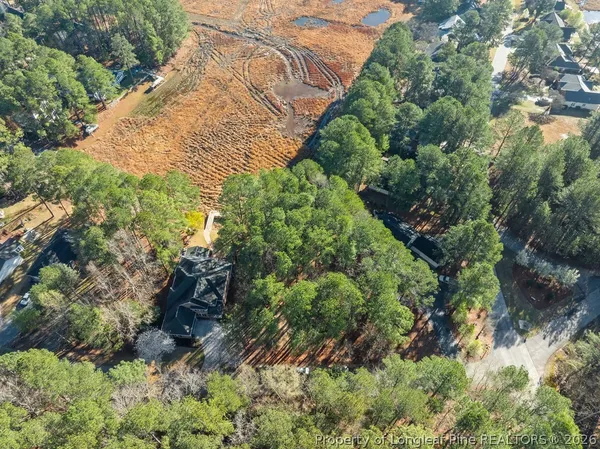 a view of a garden with plants