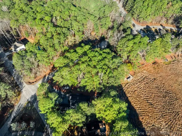 a view of backyard with green space