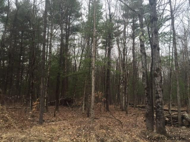 20 Collamer Road Malta, NY 12020 - Photo 3 of 4 Photo 3