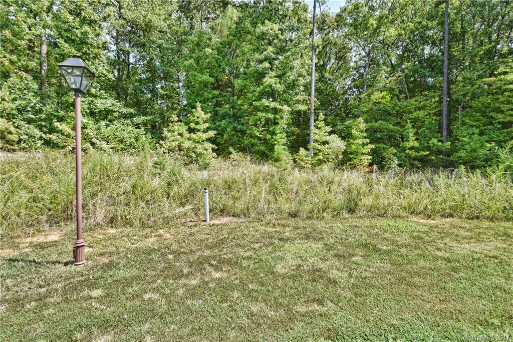 5248 Winding Grove Way, Unit 61 Fort Mill, SC 29707 - Photo 2 of 24