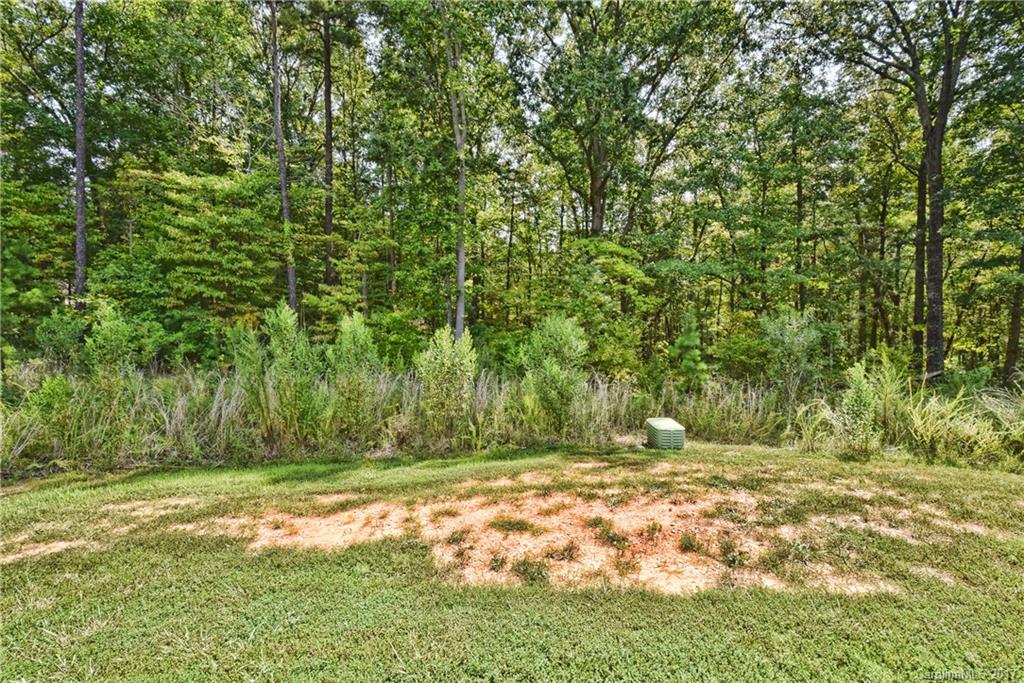 5248 Winding Grove Way, Unit 61 Fort Mill, SC 29707 - Photo 3 of 24