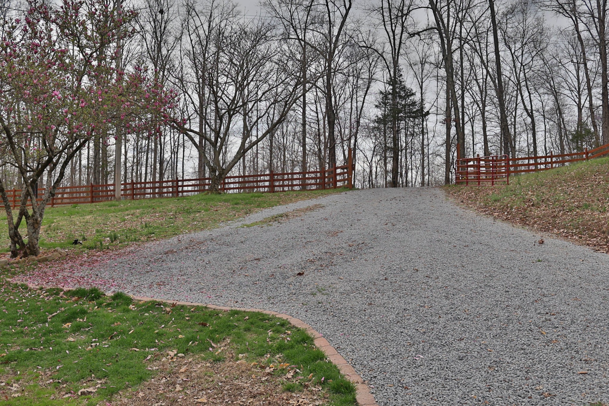 1660 Leatherwood Road White Bluff, TN 37187 - Photo 10 of 41