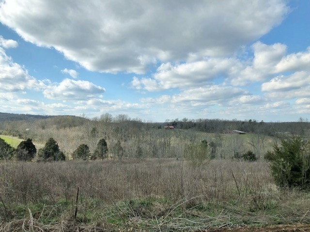 750 Conrad Templeton Road Quebeck, TN 38579 - Photo 2 of 28 Gallery Image 2