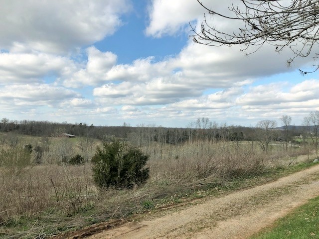 750 Conrad Templeton Road Quebeck, TN 38579 - Photo 3 of 28 Gallery Image 3