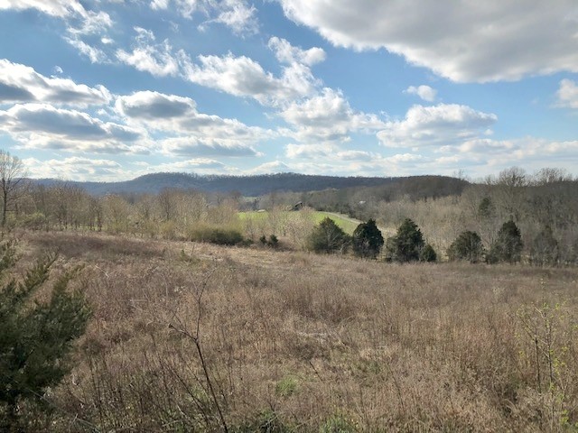 750 Conrad Templeton Road Quebeck, TN 38579 - Photo 4 of 28 Gallery Image 4