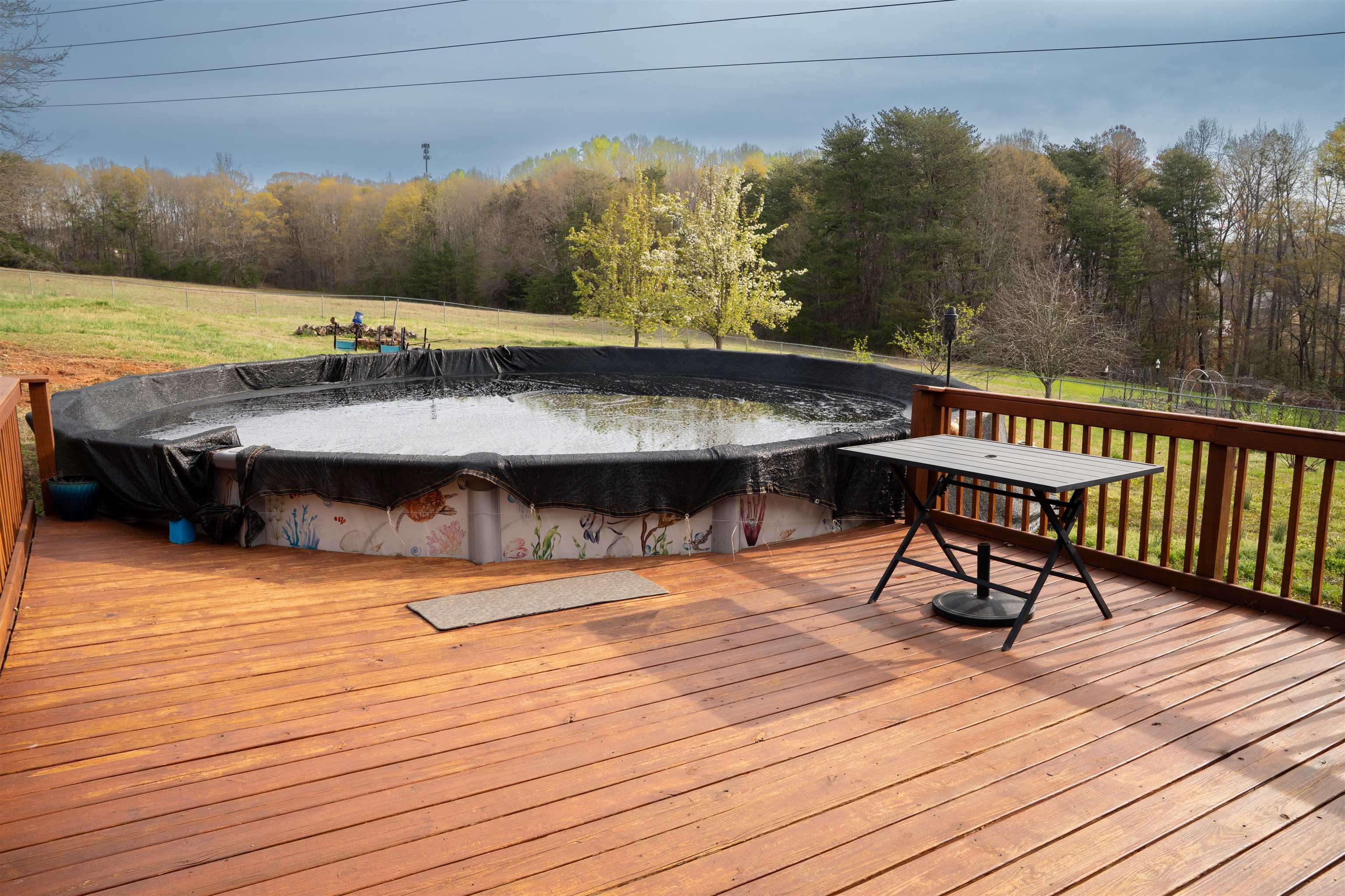 155 Coastline Drive Inman, SC 29349 - Photo 33 of 48