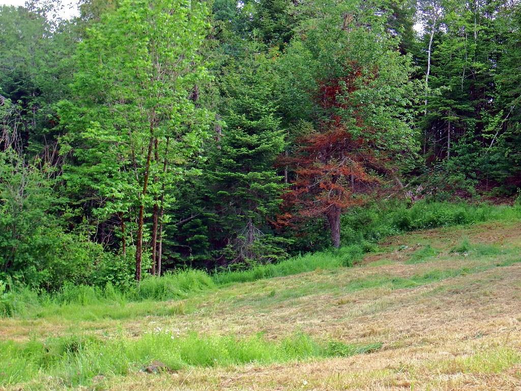62 Cogan Road Houlton, ME 04730 - Photo 20 of 21 Photo