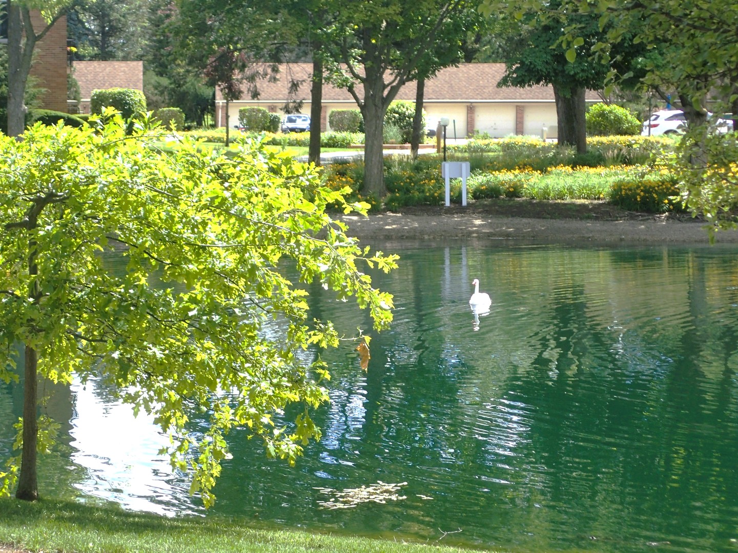 1127 South Old Wilke Road, Unit 101 Rolling Meadows, IL 60005 - Photo 4 of 32