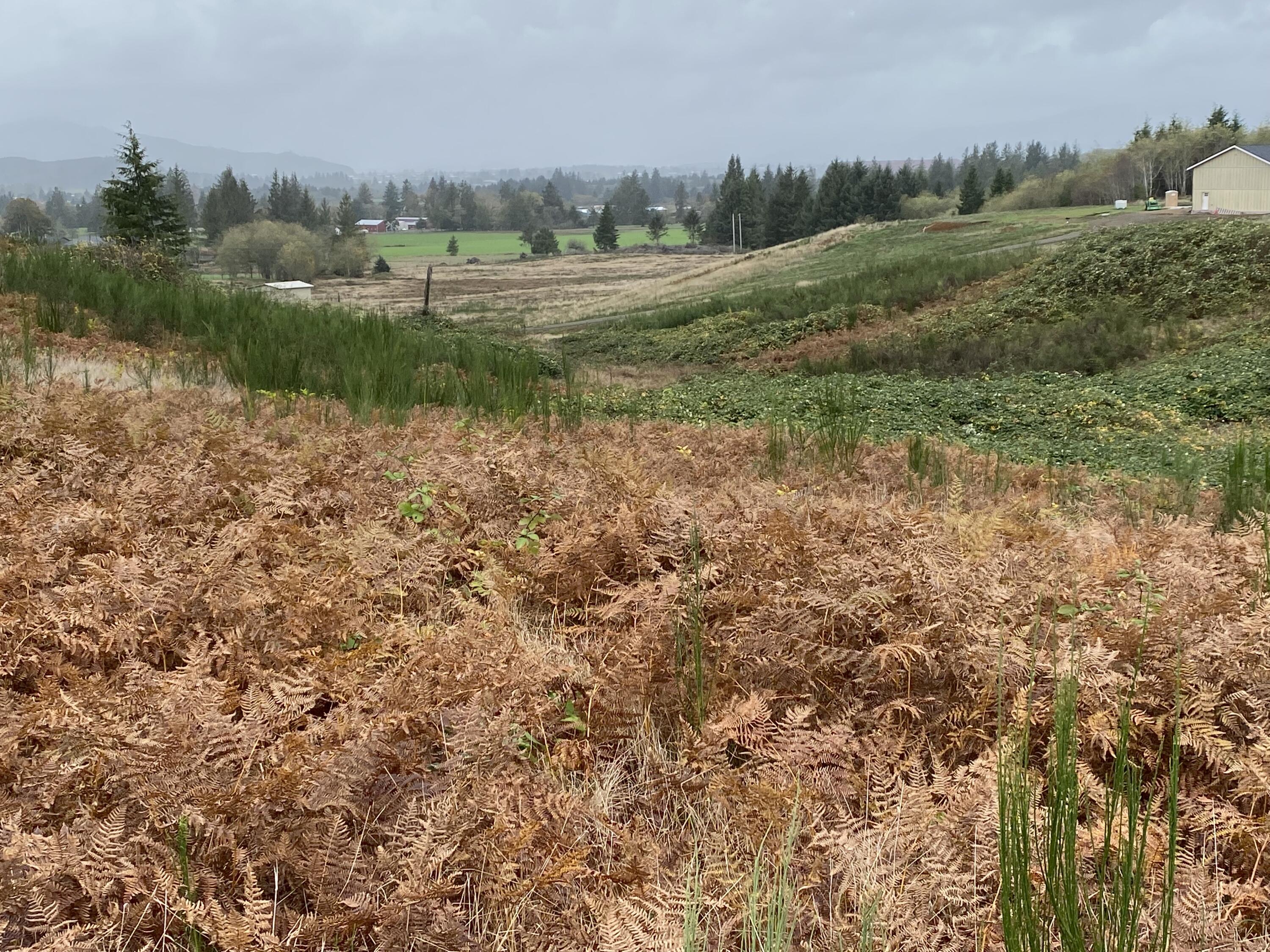 Tl#01800 Hurliman Hill Road Tillamook, OR 97141 - Photo 1 of 4 IMG_1291