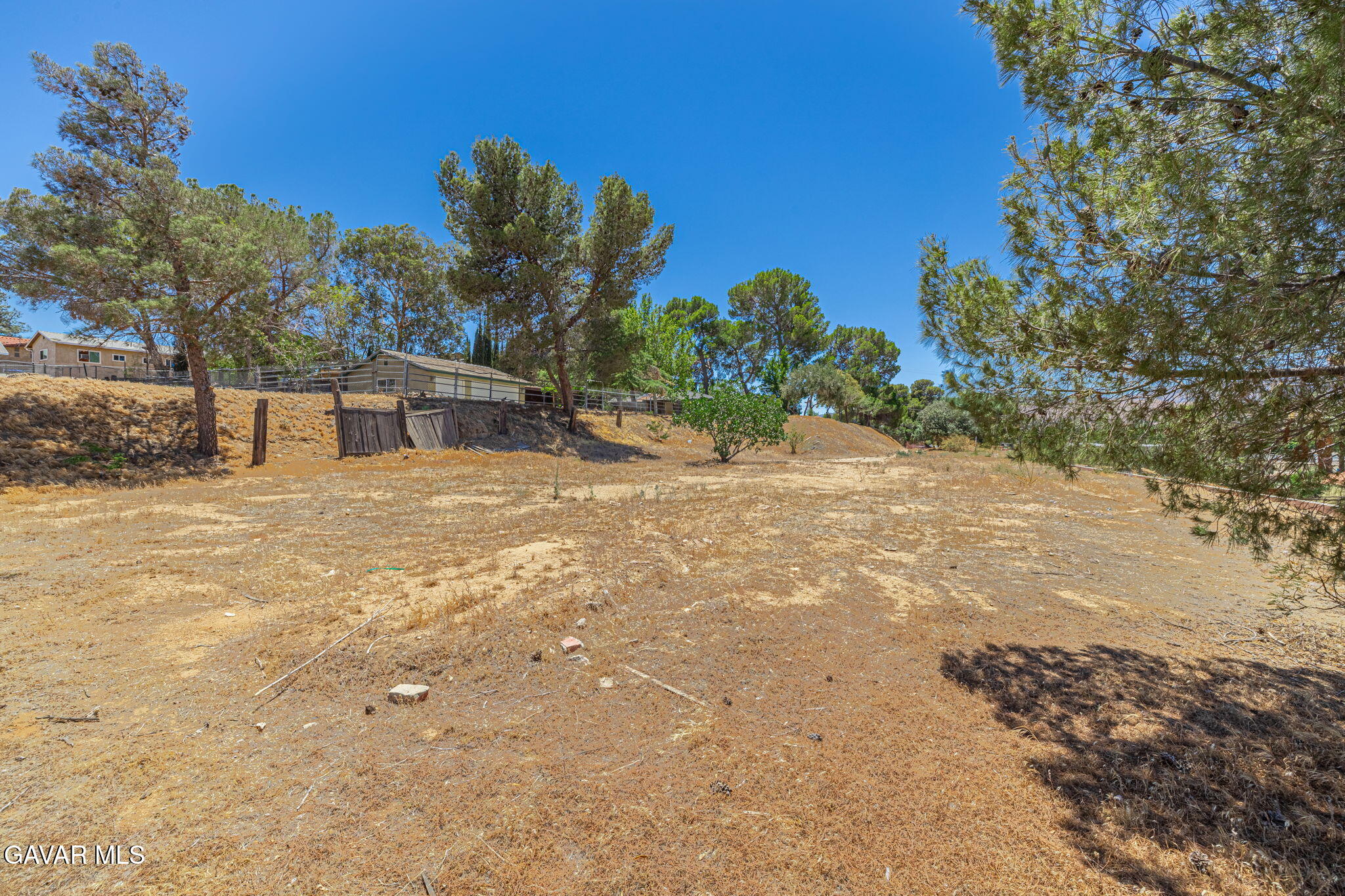 4819 Columbia Way Lancaster, CA 93536 - Photo 25 of 33 a view of a yard with a tree