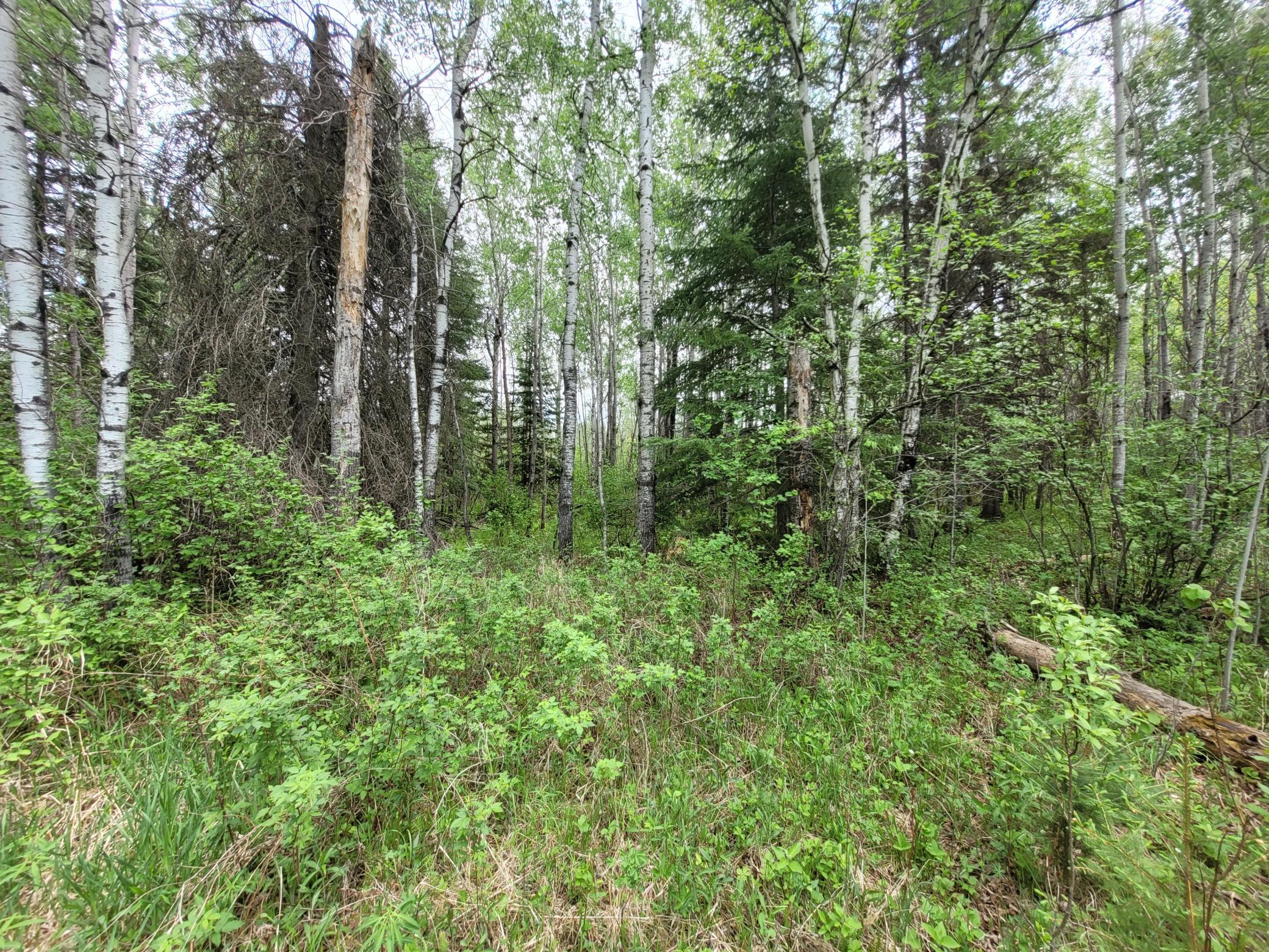 68232 County Road 547 Cook, MN 55723 - Photo 15 of 16