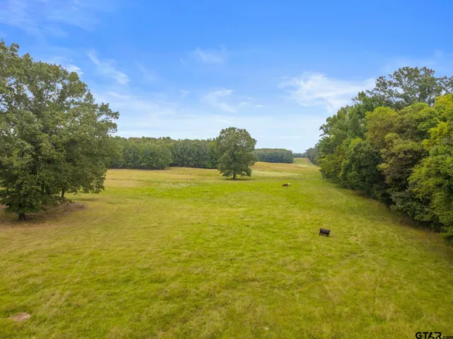 a view of an ocean from a yard