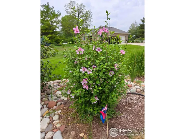 $1,225,000 | 115 Grand View Drive, Mead, CO 80651