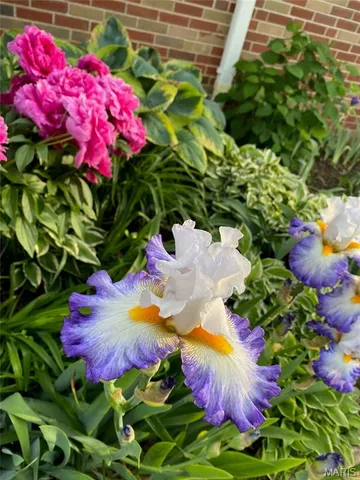 $569,000 | 10748 Leebur Drive, St. Louis, MO 63128