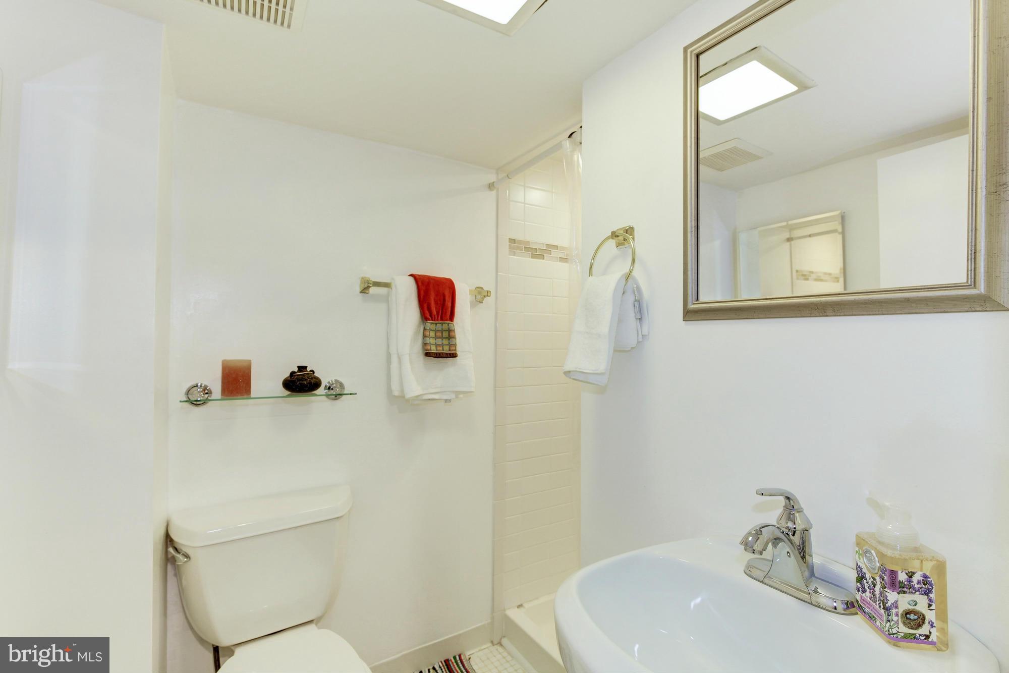 2908 Lindell Court Silver Spring, MD 20902 - Photo 22 of 29 Lower Level bathroom
