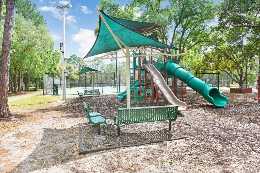 17804 Ridgeway Court Tampa, FL 33647 - Photo 53 of 59 Gallery Image 53
