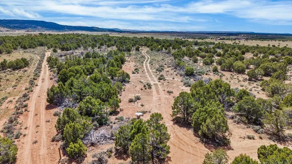 $717,000 | 3331 South 16 1/2 Road, Glade Park, CO 81523