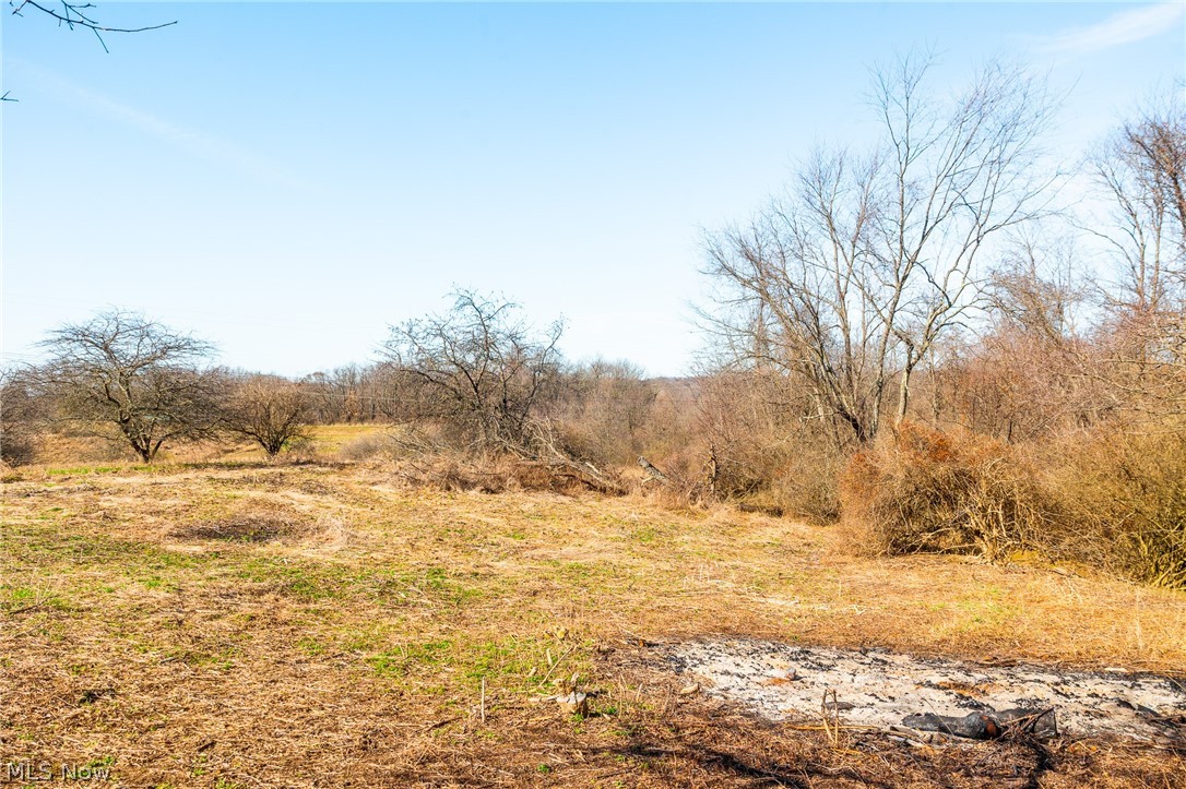 2535 Millersburg Road Wooster, OH 44691 - Photo 11 of 46 View of undeveloped land featuring rural landscape