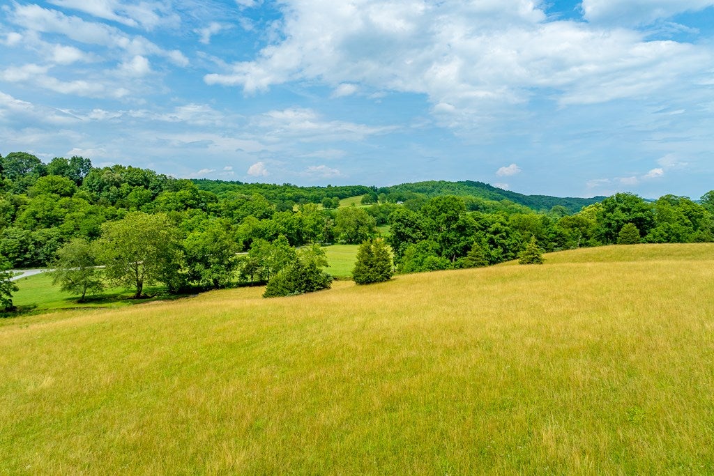 127 Trout Farm Road Rural Retreat, VA 24368 - Photo 74 of 88 Gallery Image 74