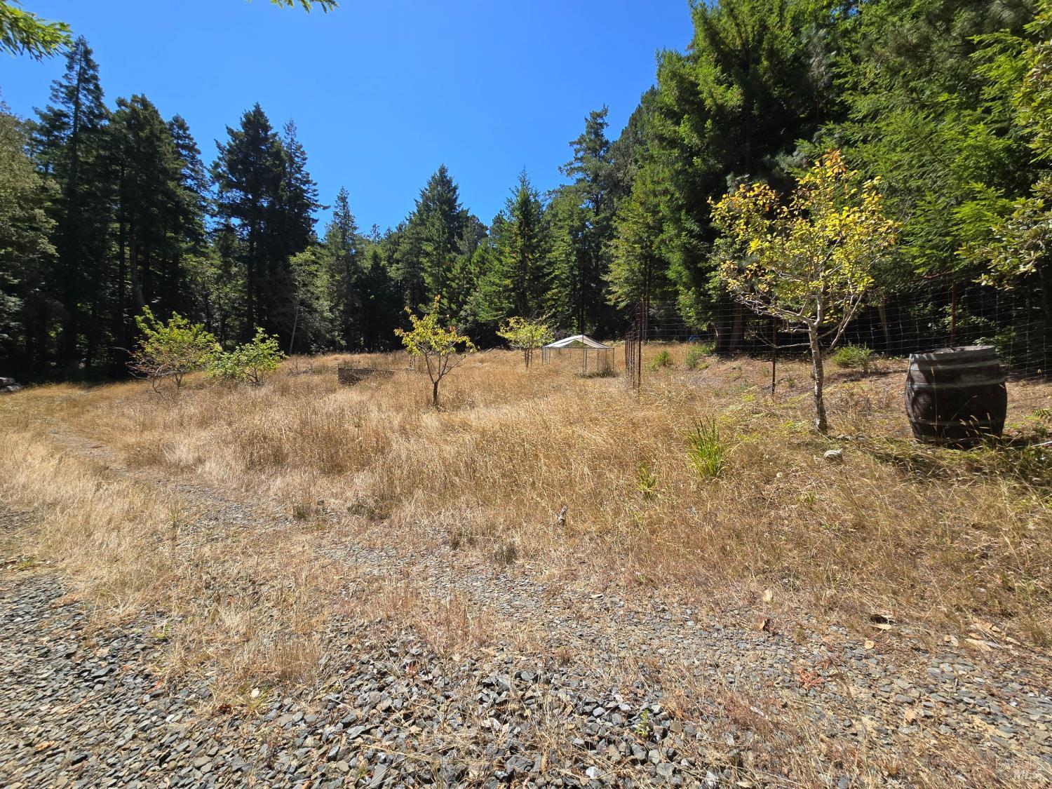 40741 Garcia River Road Point Arena, CA 95468 - Photo 10 of 23 Gallery Image 10