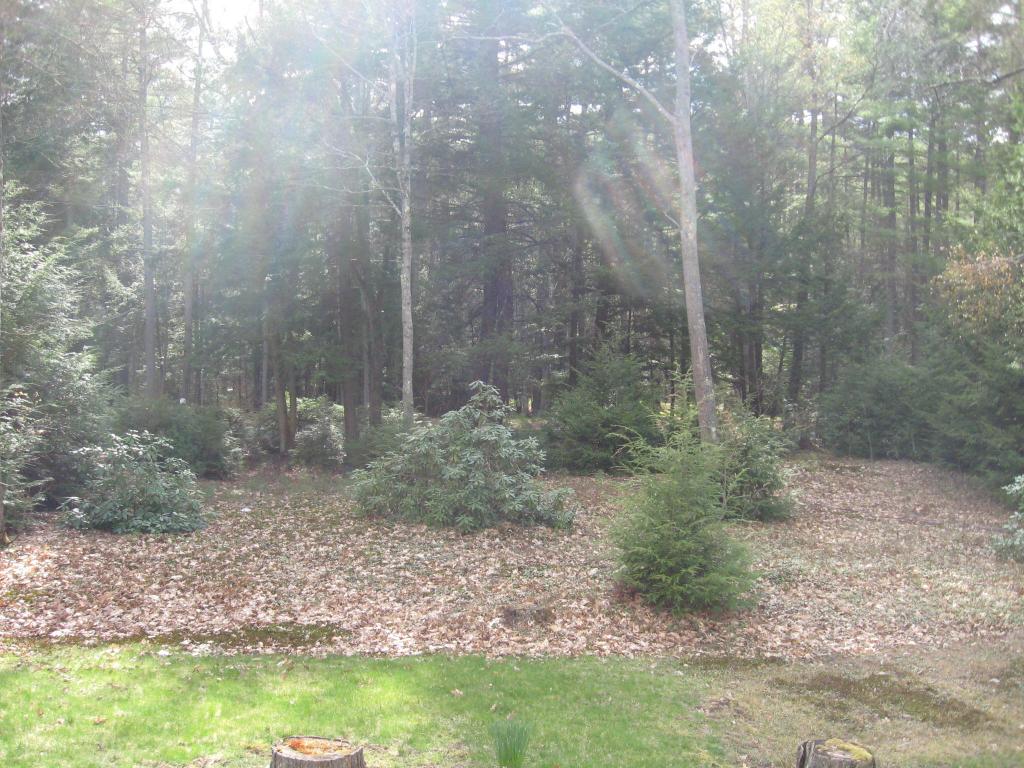 99 Forest Lake Road Winchester, NH 03470 - Photo 18 of 21 Gallery Image 18