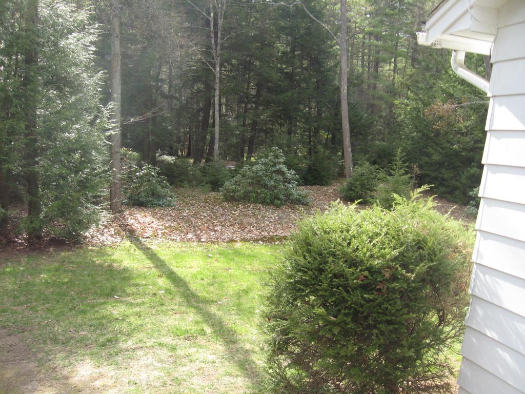 99 Forest Lake Road Winchester, NH 03470 - Photo 19 of 21 Gallery Image 19