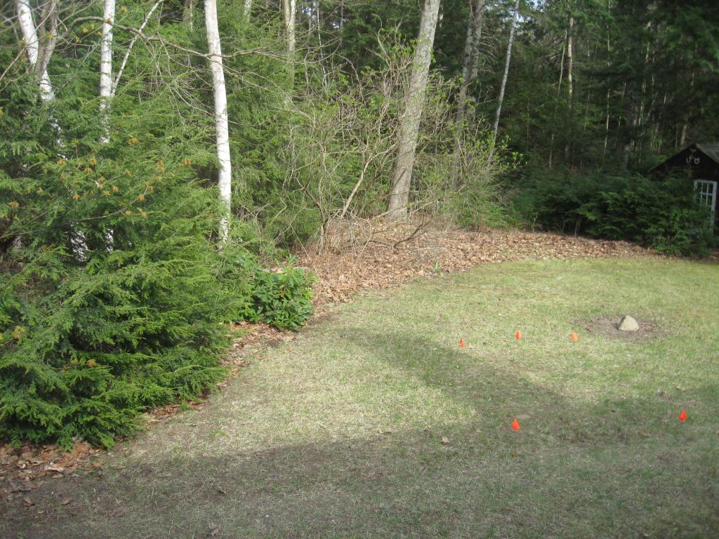 99 Forest Lake Road Winchester, NH 03470 - Photo 20 of 21 Gallery Image 20