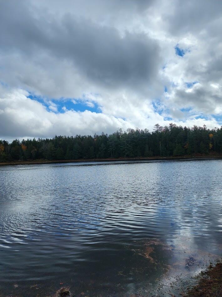 Off Northfield Road Machias, ME 04654 - Photo 20 of 39 20251021_123331