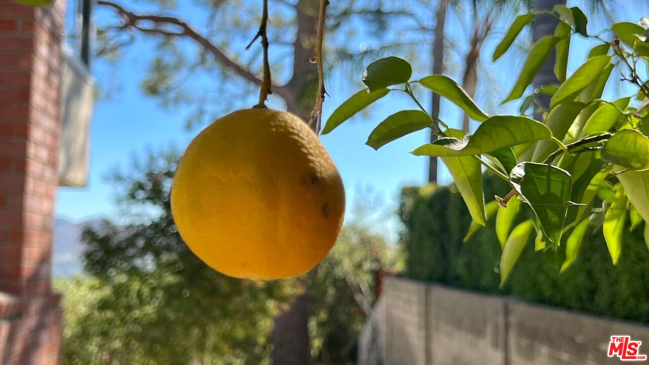 1096 Stoneshead Court Westlake Village, CA 91361 - Photo 24 of 38 a view of a backyard