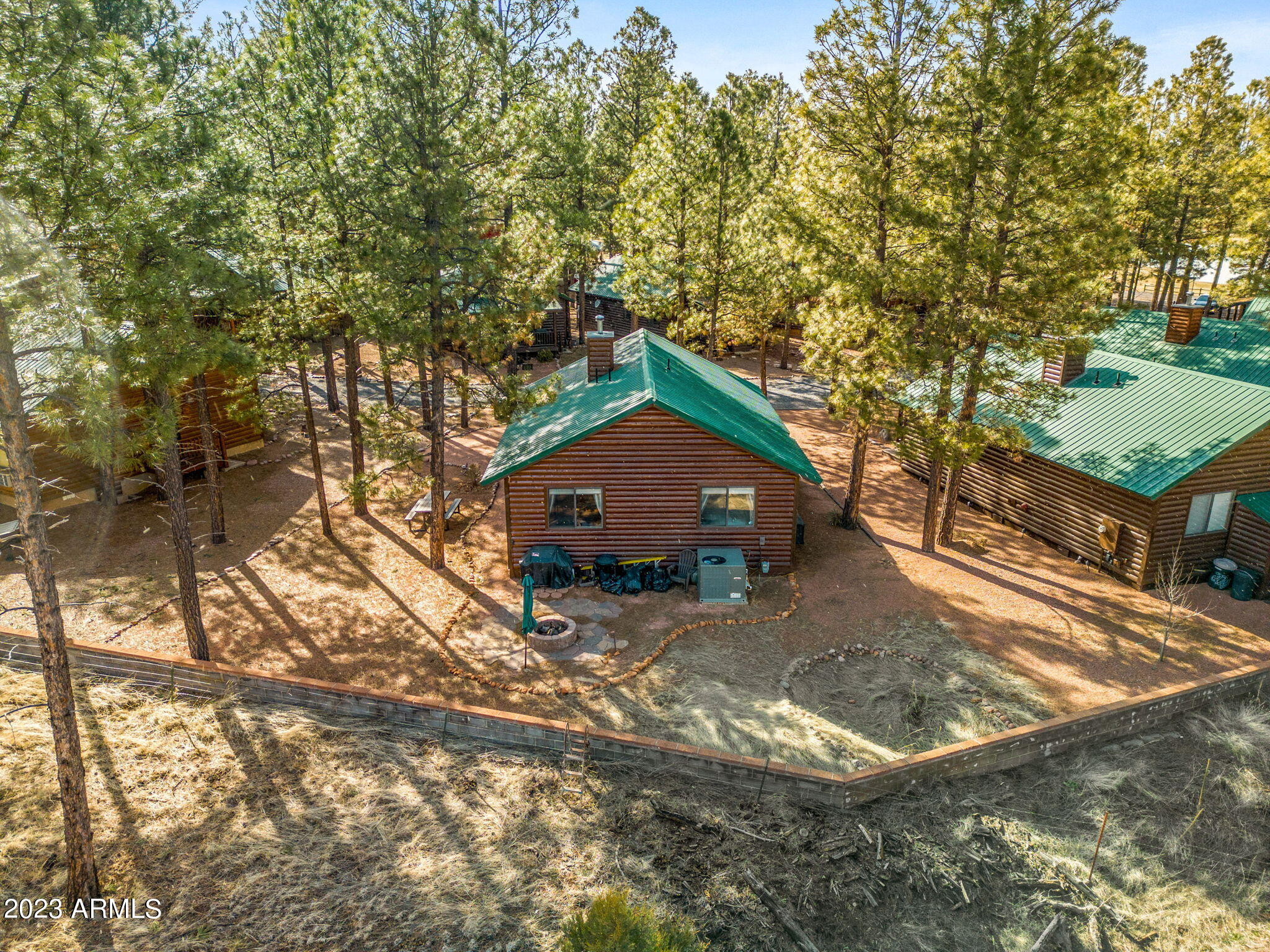 2713 High Pine Loop Overgaard, AZ 85933 - Photo 6 of 33 BACKS TO THE NATIONAL FOREST!