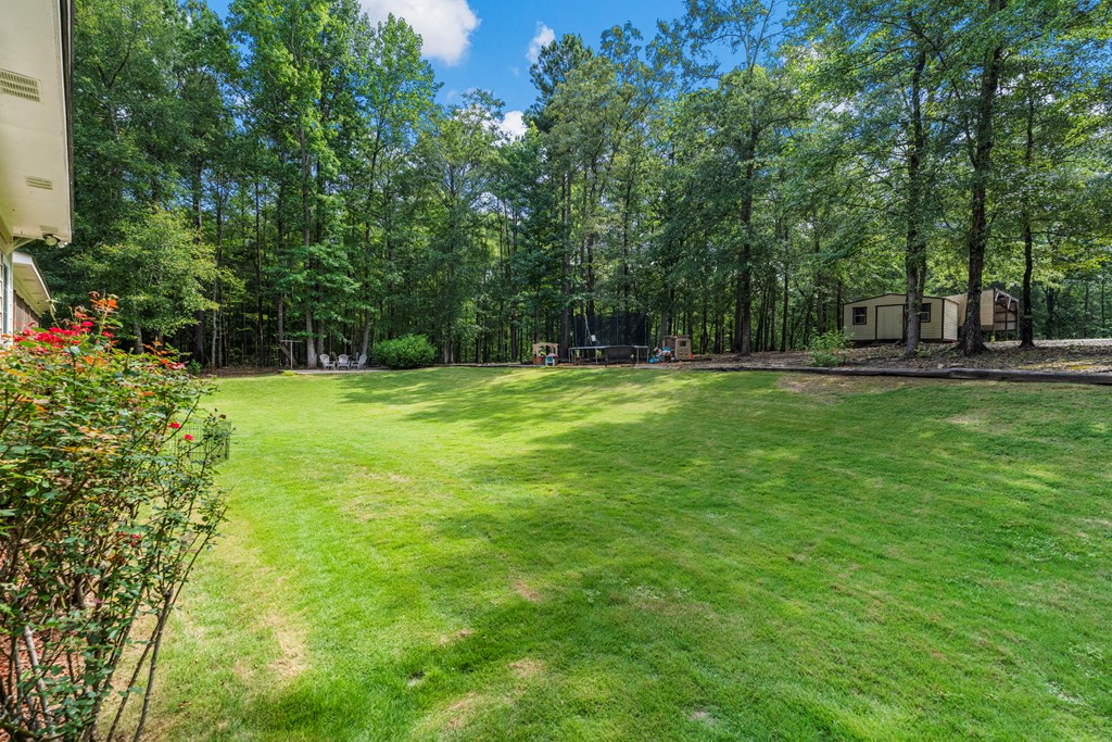 324 Hines Gap Road Hamilton, GA 31811 - Photo 4 of 28